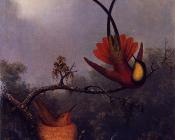 Crimson Topaz - 马丁·约翰逊·赫德